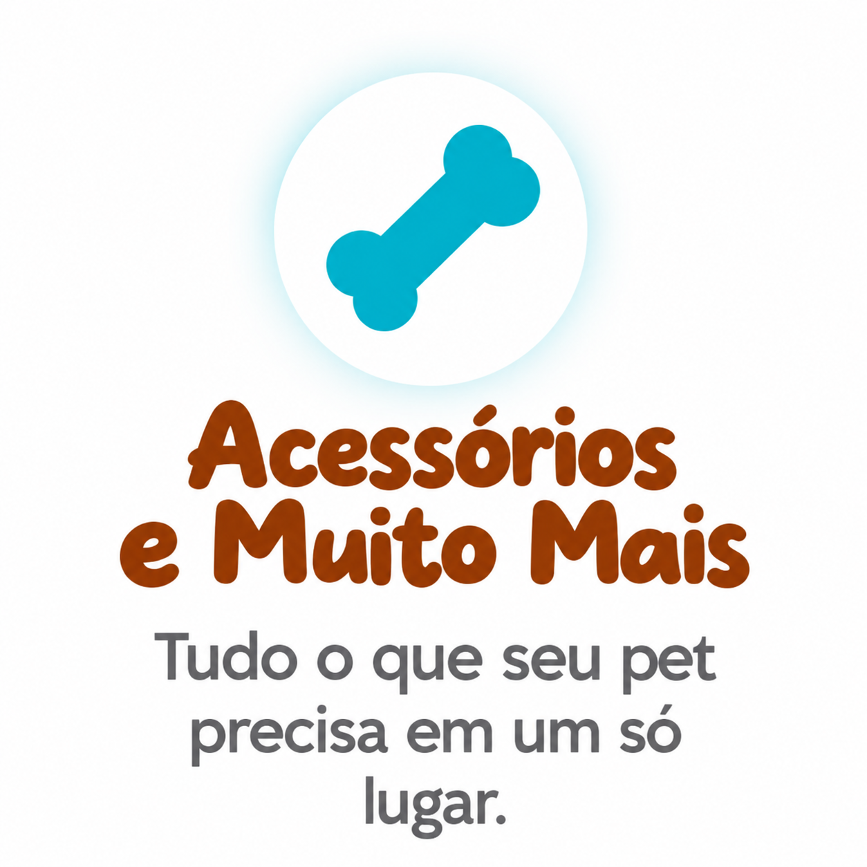 Acessórios e Muito Mais