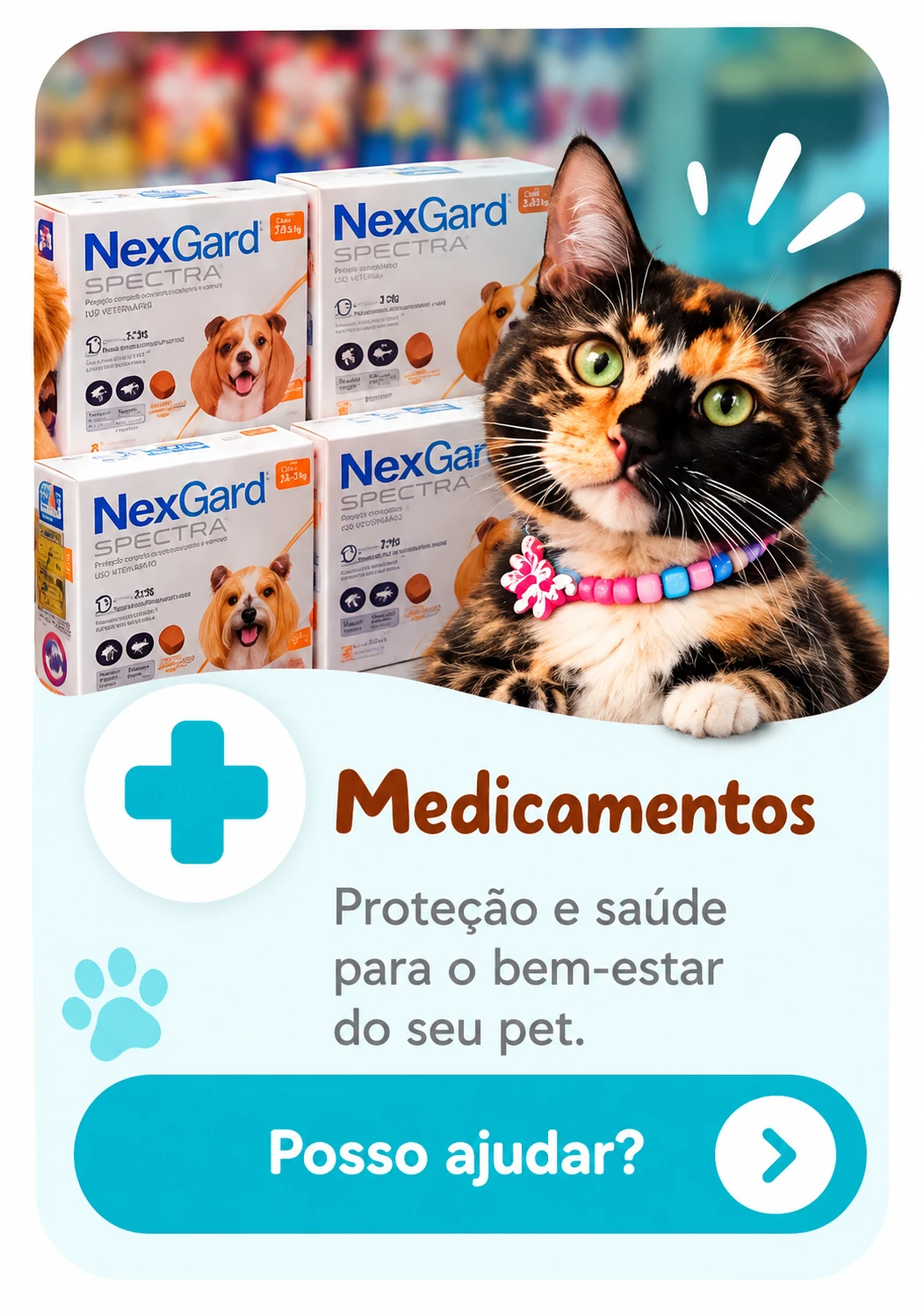 Medicamentos: proteção e saúde para o bem-estar do seu pet.